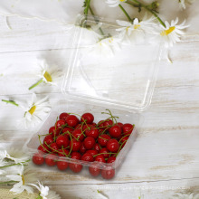 Disposable Fruit Clamshell Tray Dried Fruit Container PET Blister Packaging box with Lid